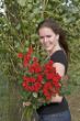 karinbloemen.jpg
